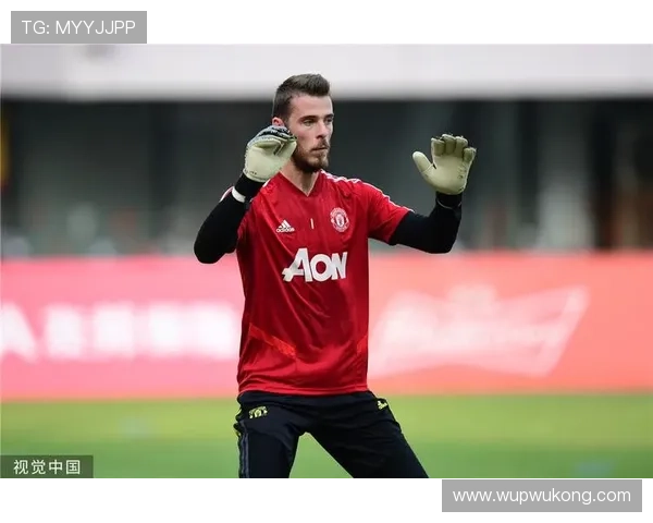 伊布与卢卡库射门效率出现分化由终结体系驱动趋势