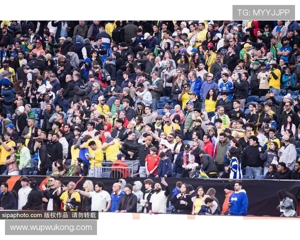 卡塔尔冲击2026美加墨世界杯：出线前景与晋级形势分析