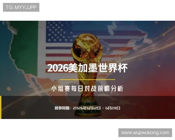 新西兰能否创造历史?2026美加墨世界杯预选赛突围前景分析 新西兰能否创造历史?2026美加墨世界杯预选赛突围前景分析
